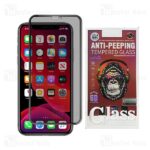 گلس پرایوسی Apple iPhone 11 Pro / XS / X Privacy Mocoson