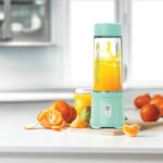 مخلوط کن پرتابل گرین Green lion blender portable summer mate - تصویر 3