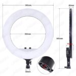 رینگ لایت مدل RL-21 کیف مخصوص و دارای پایه فلزی - تصویر 5